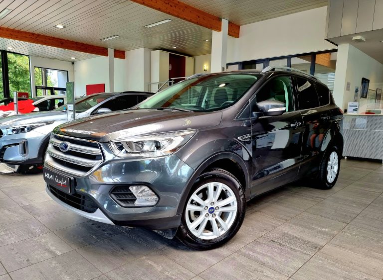 Ford Kuga 1.5 EcoBoost ECO FWD Business Cl. (EU6.2)